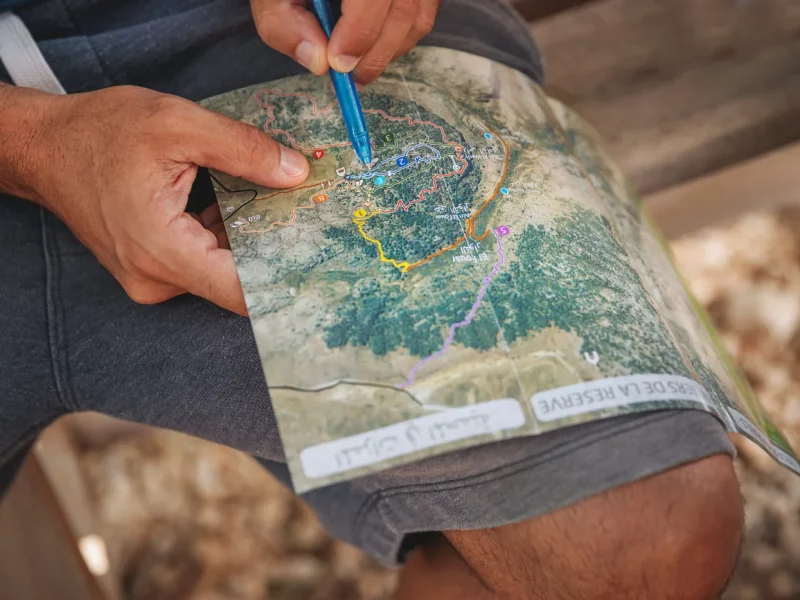 active-people-exploring-the-lands-for-adventure-2025-03-08-06-38-31-utc